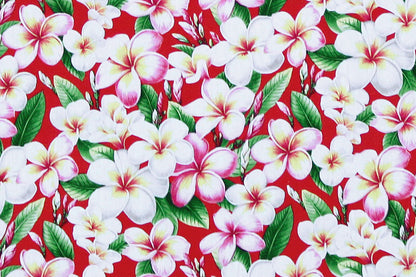 CAA0011 Red