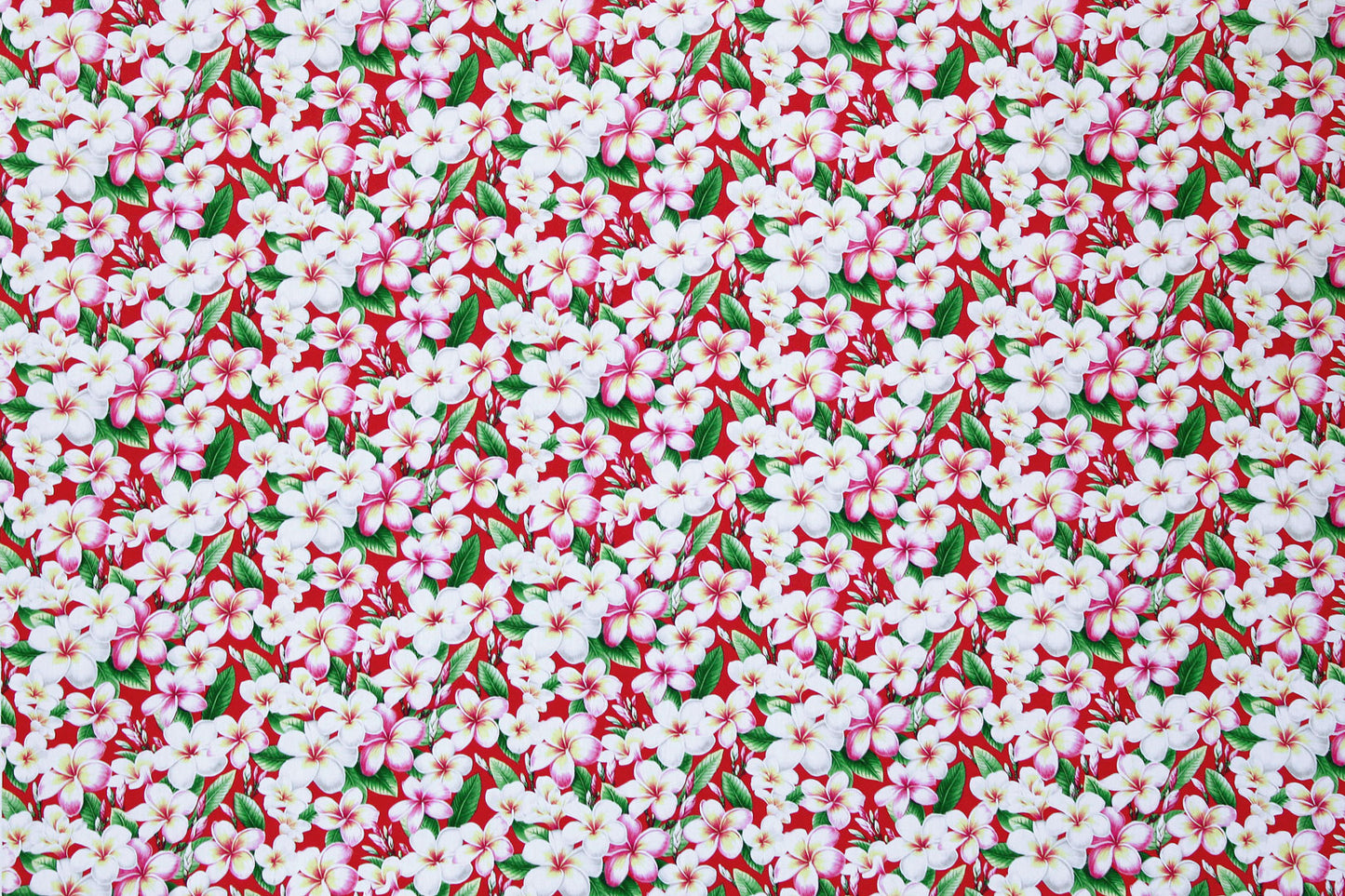 CAA0011 Red