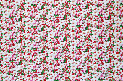 CAA0011 Red