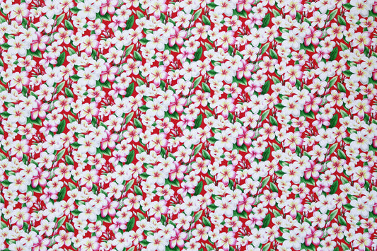 CAA0011 Red