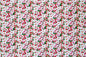 CAA0011 Red