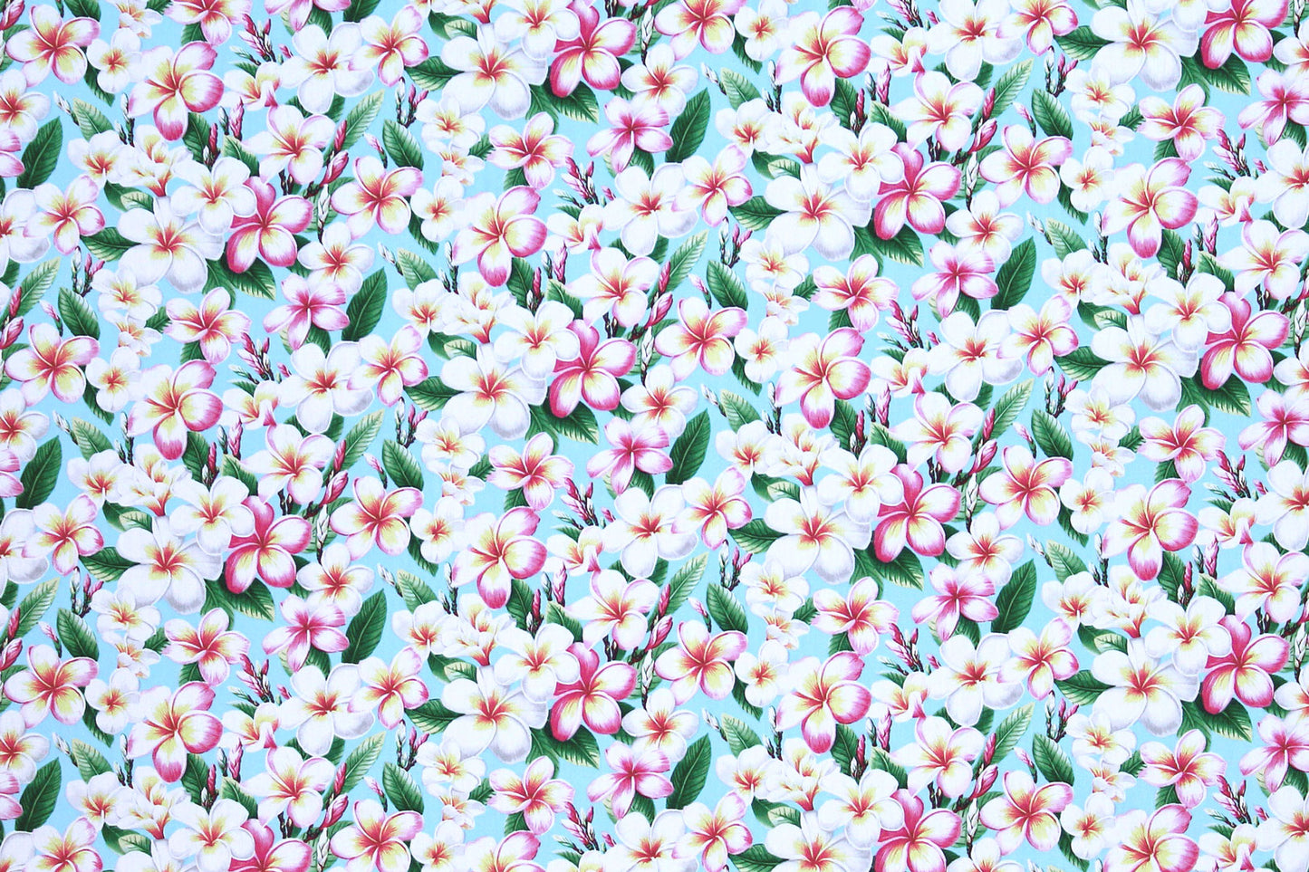 CAA0011 Sky