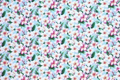 CAA0011 Sky