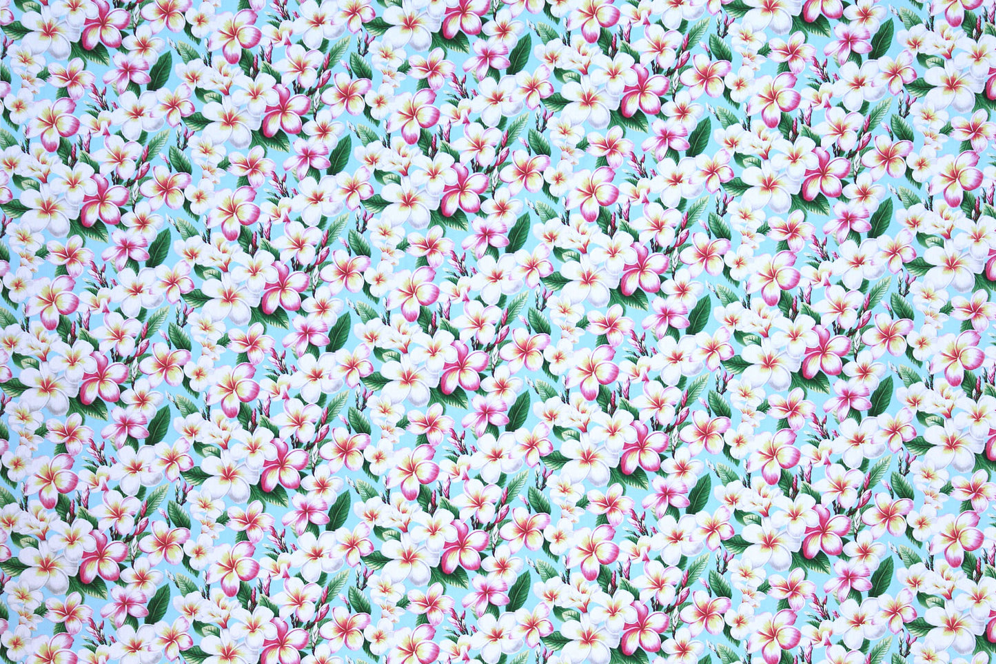 CAA0011 Sky