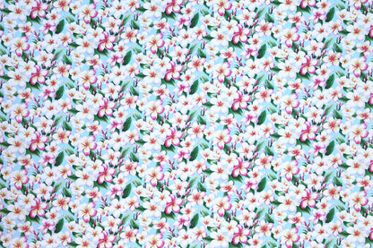 CAA0011 Sky