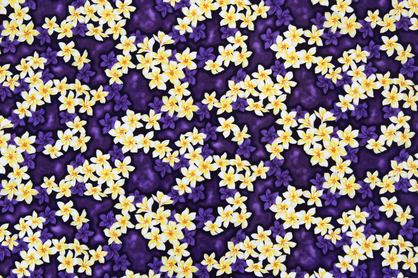 CAA0673 Purple