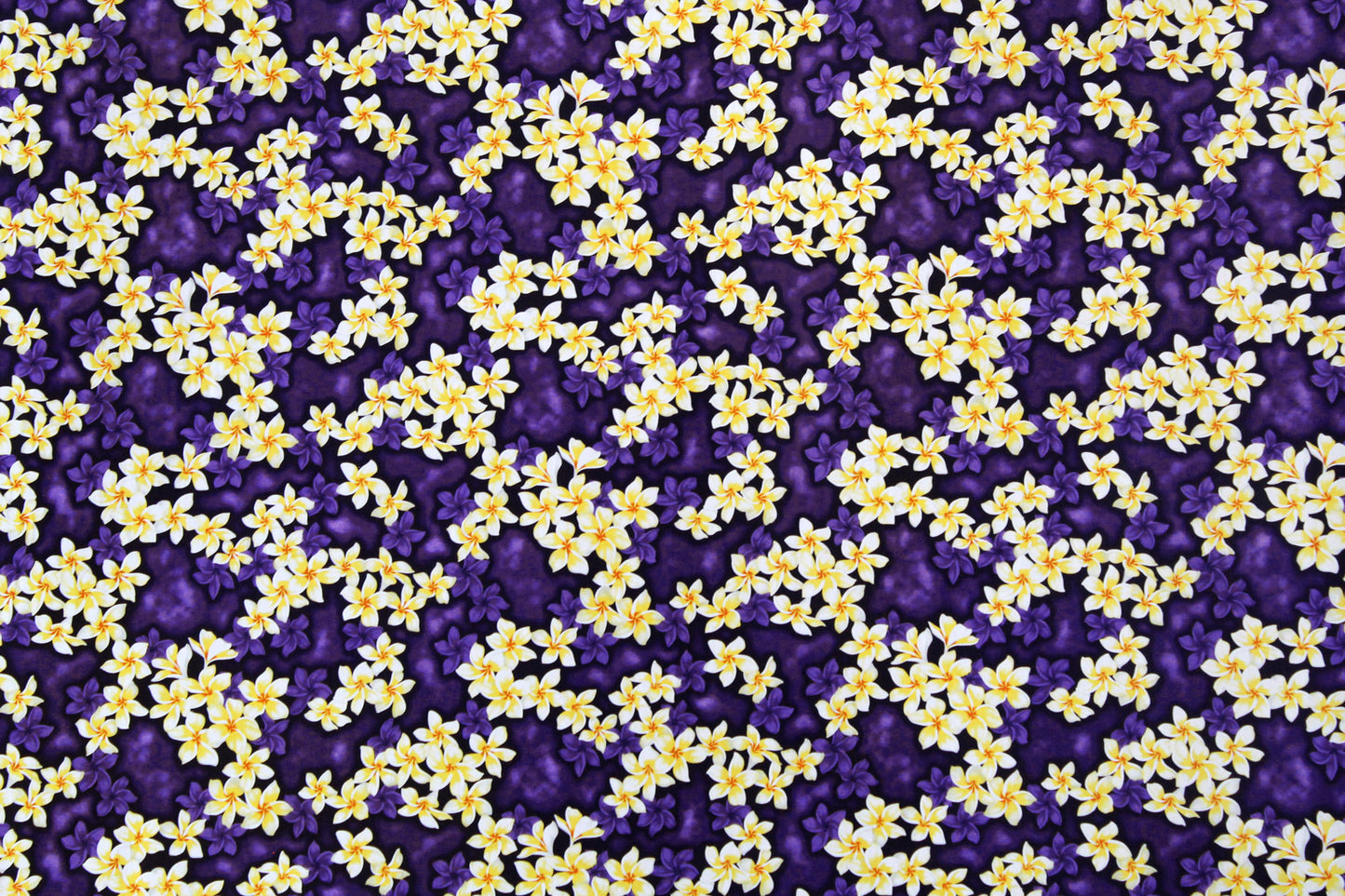 CAA0673 Purple