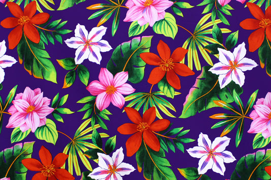 CAA1363 Purple