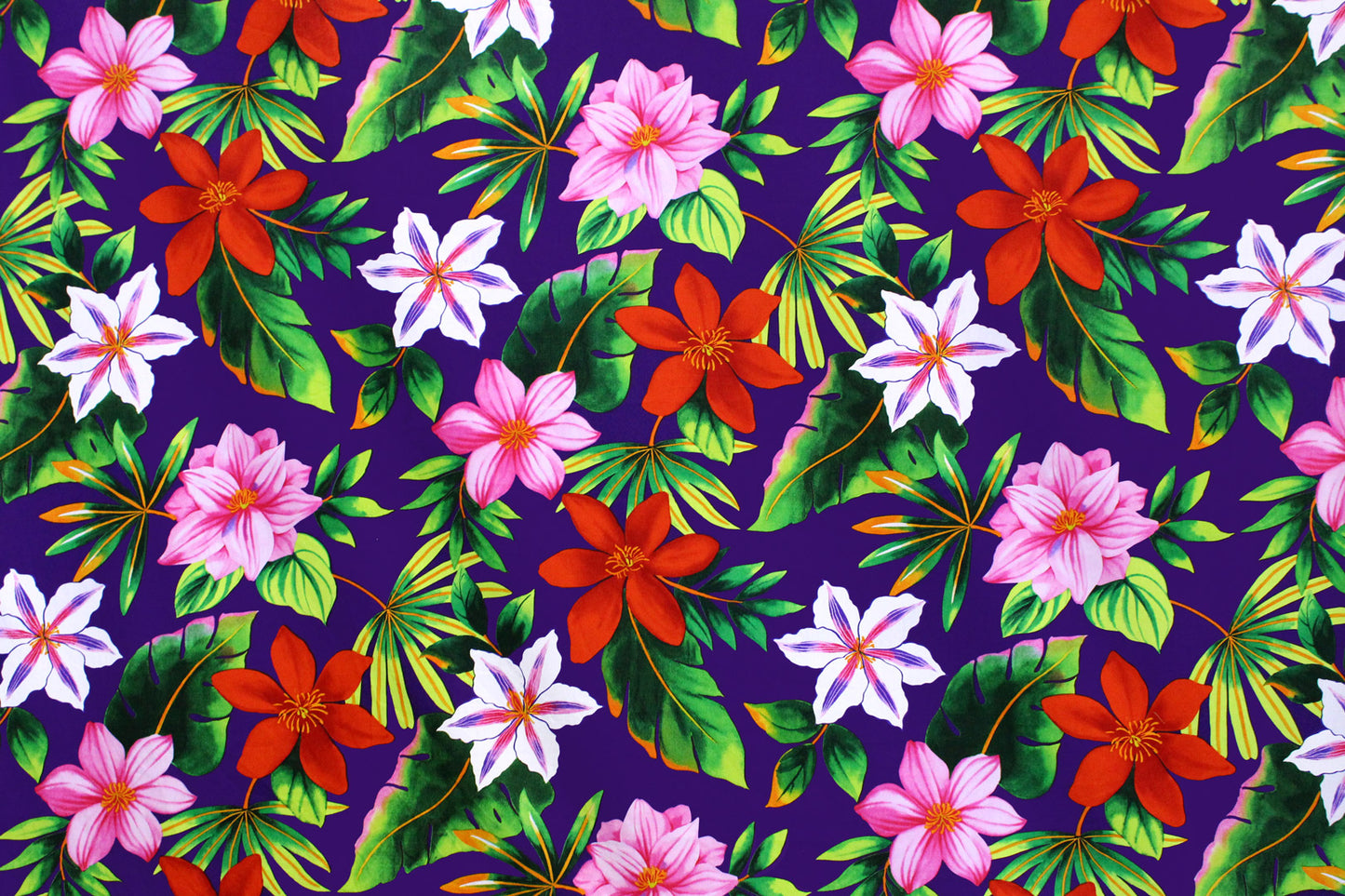 CAA1363 Purple