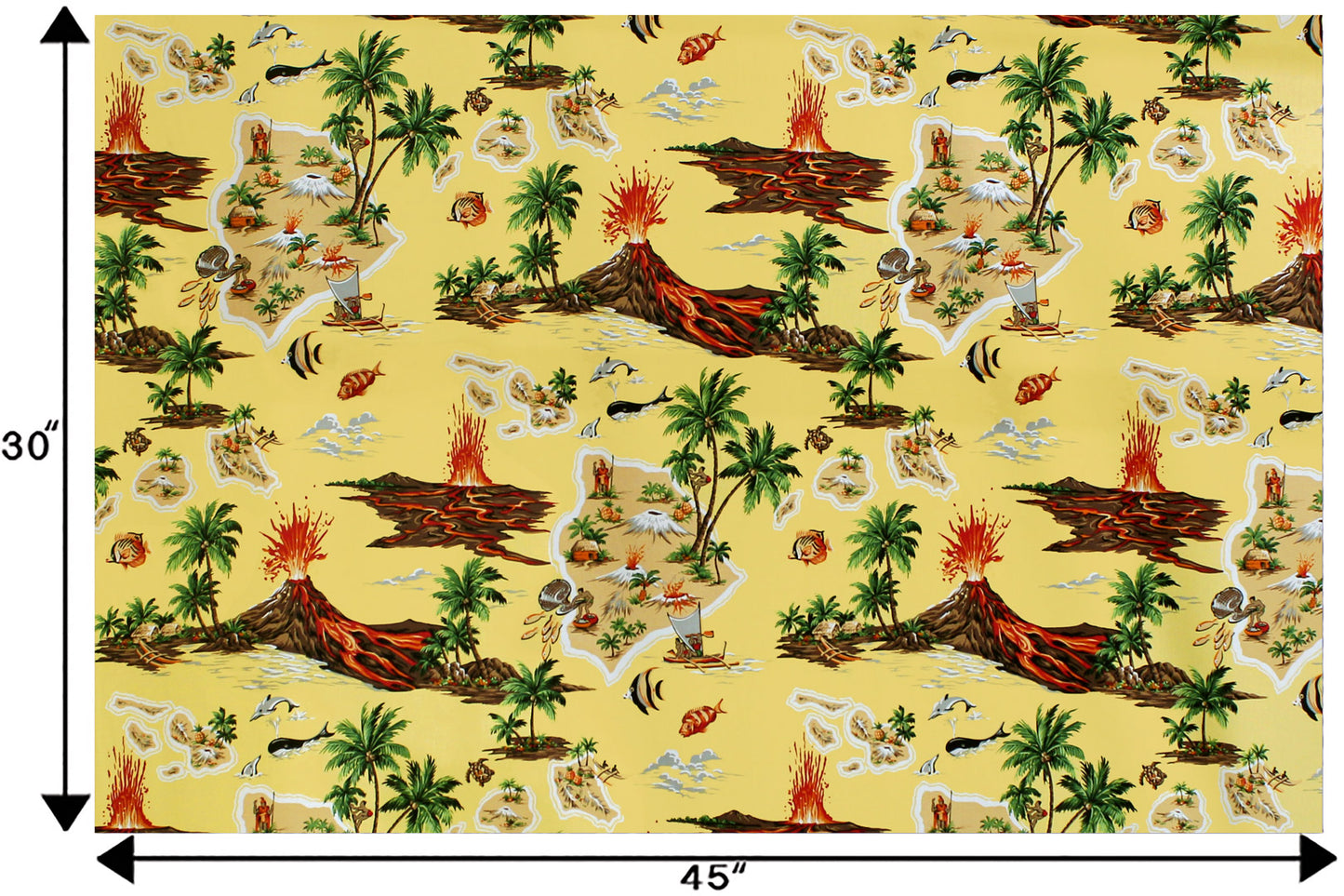 CAA1367 Maize