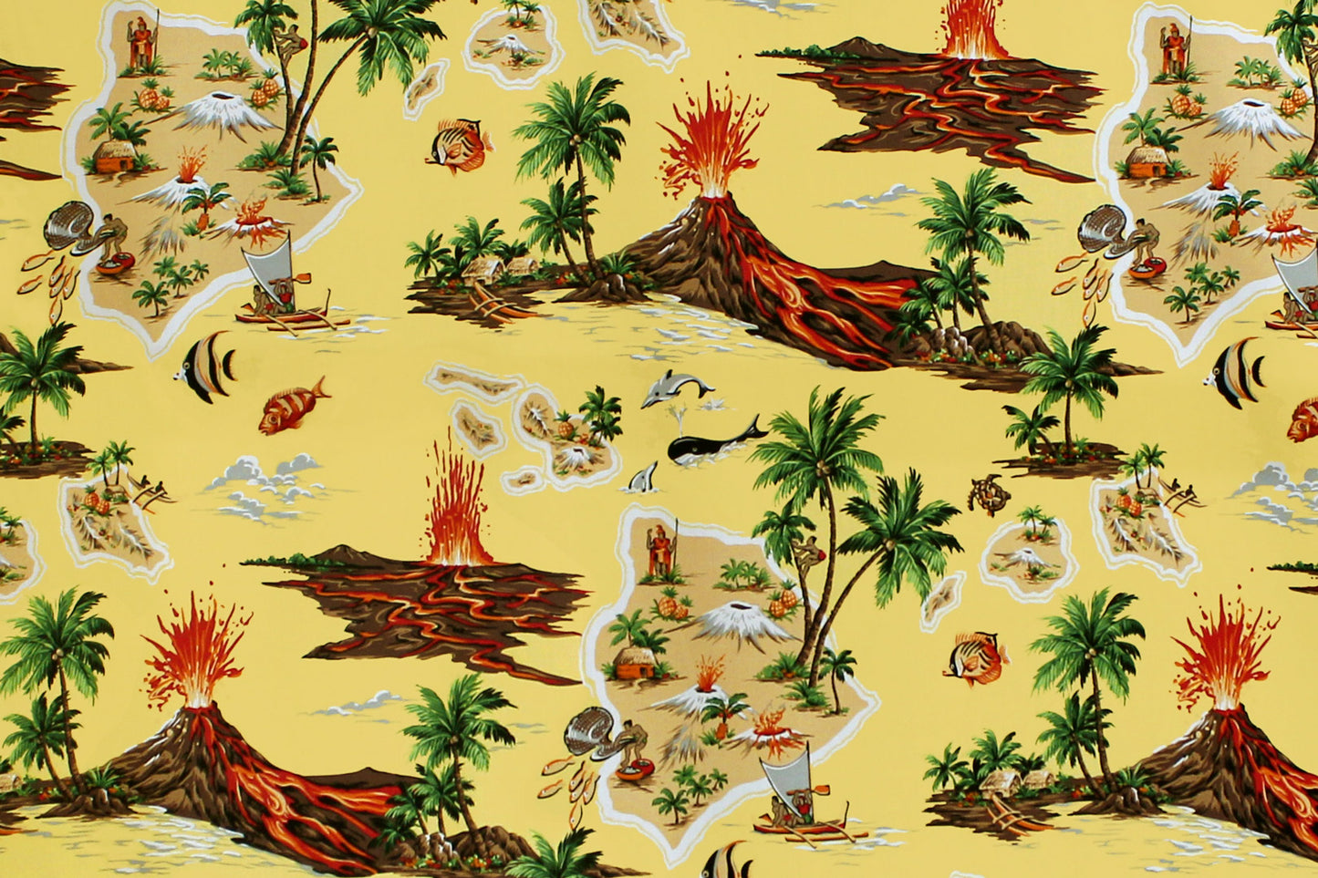 CAA1367 Maize