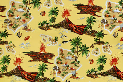 CAA1367 Maize