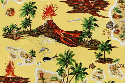 CAA1367 Maize