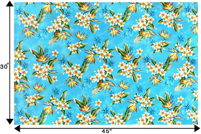 CAA1368 Turquoise