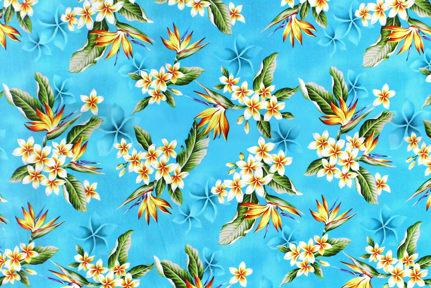 CAA1368 Turquoise