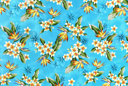 CAA1368 Turquoise
