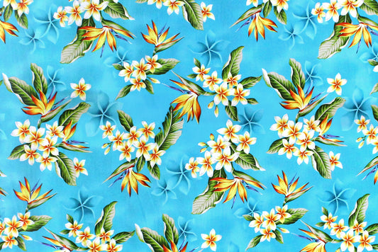 CAA1368 Turquoise
