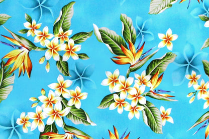 CAA1368 Turquoise