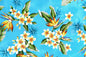 CAA1368 Turquoise
