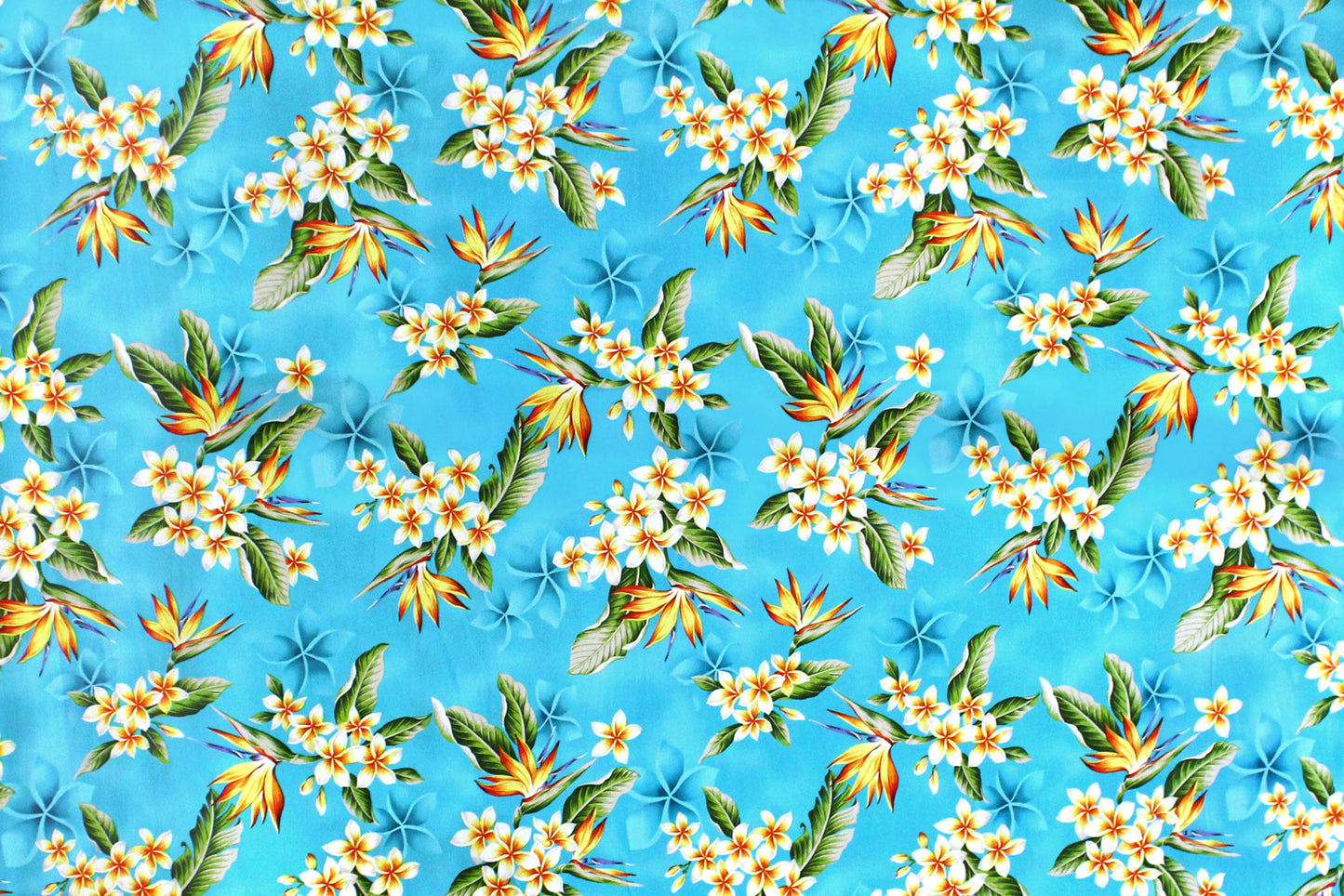 CAA1368 Turquoise