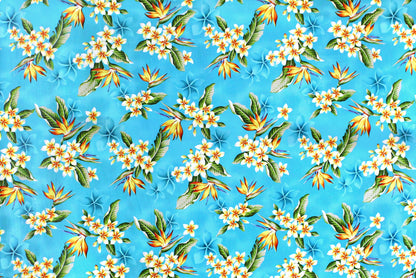 CAA1368 Turquoise