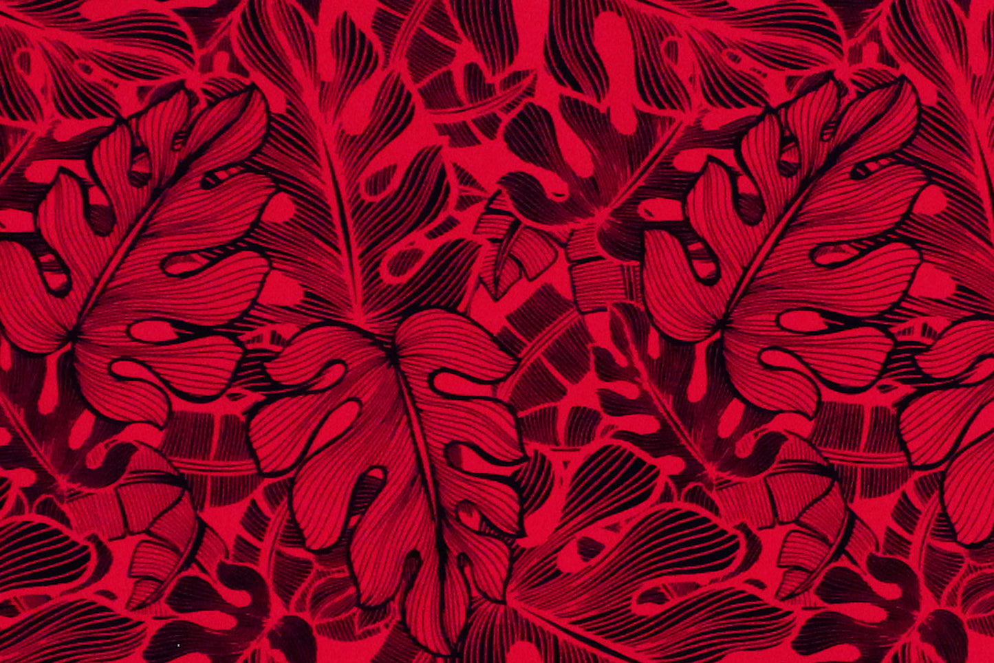 CAA1129 Black/Red