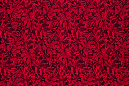 CAA1129 Black/Red