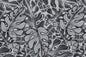 CAA1129 Gray