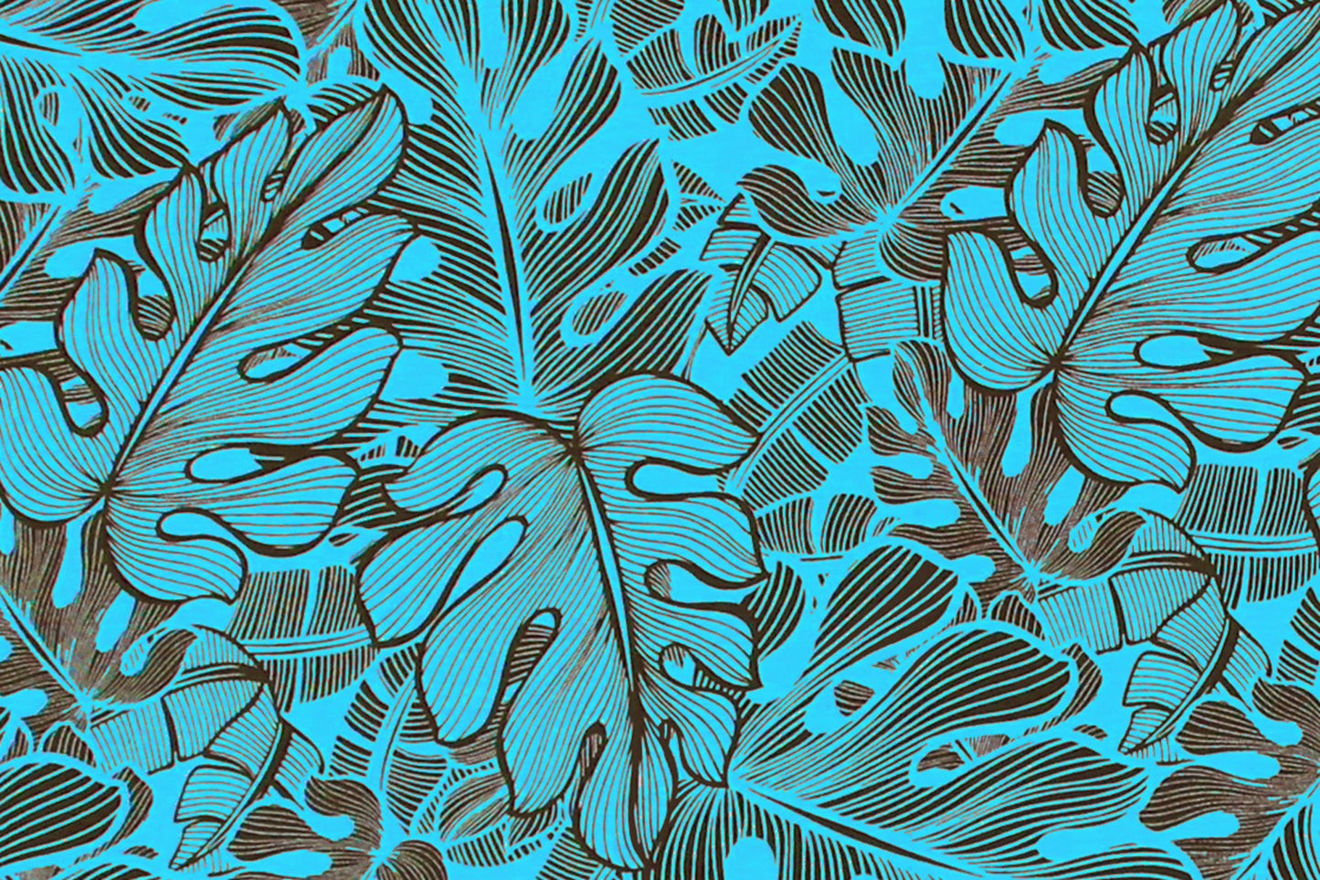 CAA1129 Teal