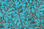 CAA1129 Teal