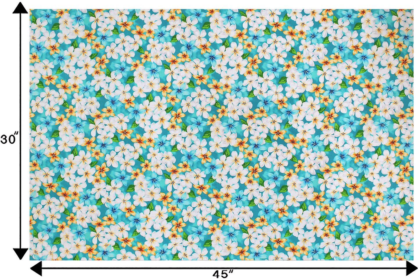 CAA1144 New Aqua