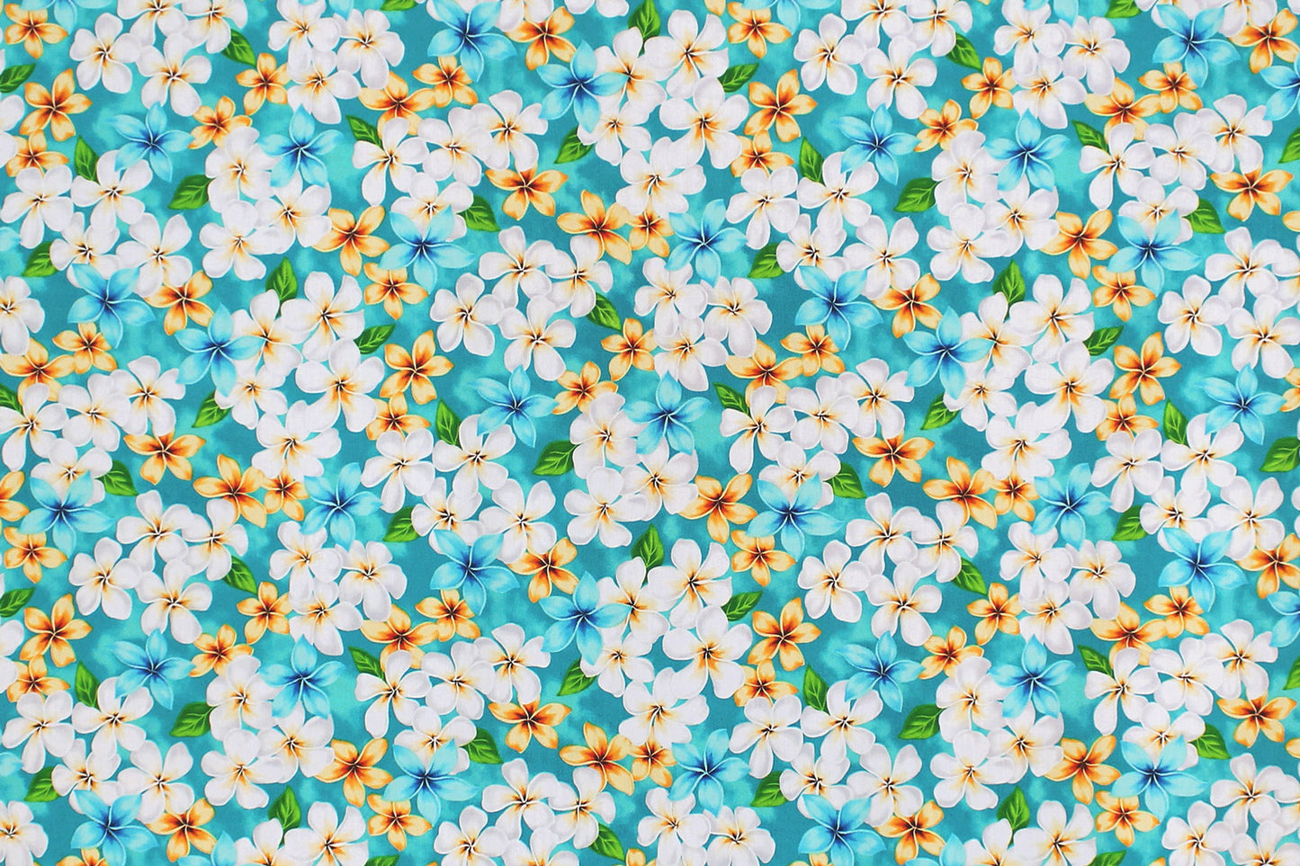 CAA1144 New Aqua