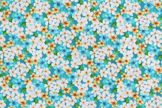 CAA1144 New Aqua