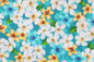 CAA1144 New Aqua