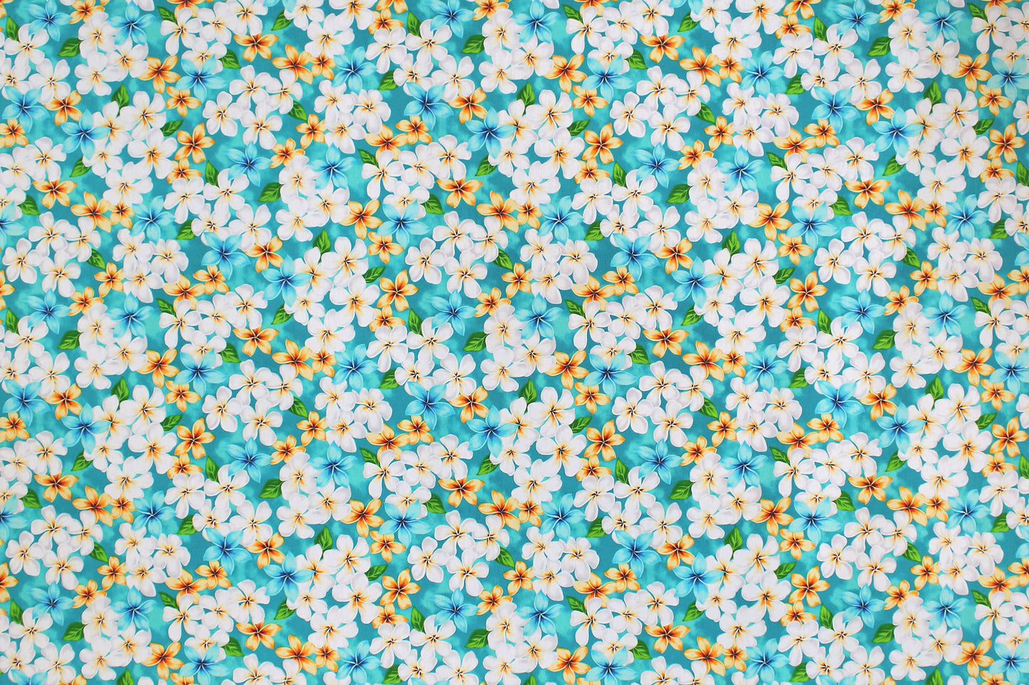 CAA1144 New Aqua