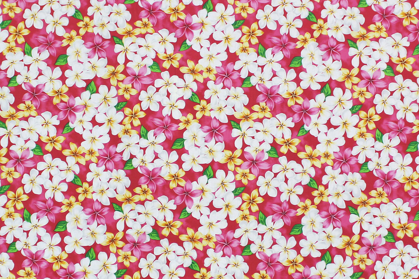 CAA1144 New Pink