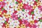 CAA1144 New Pink