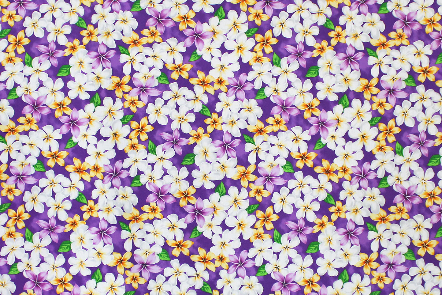 CAA1144 New Purple