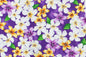 CAA1144 New Purple