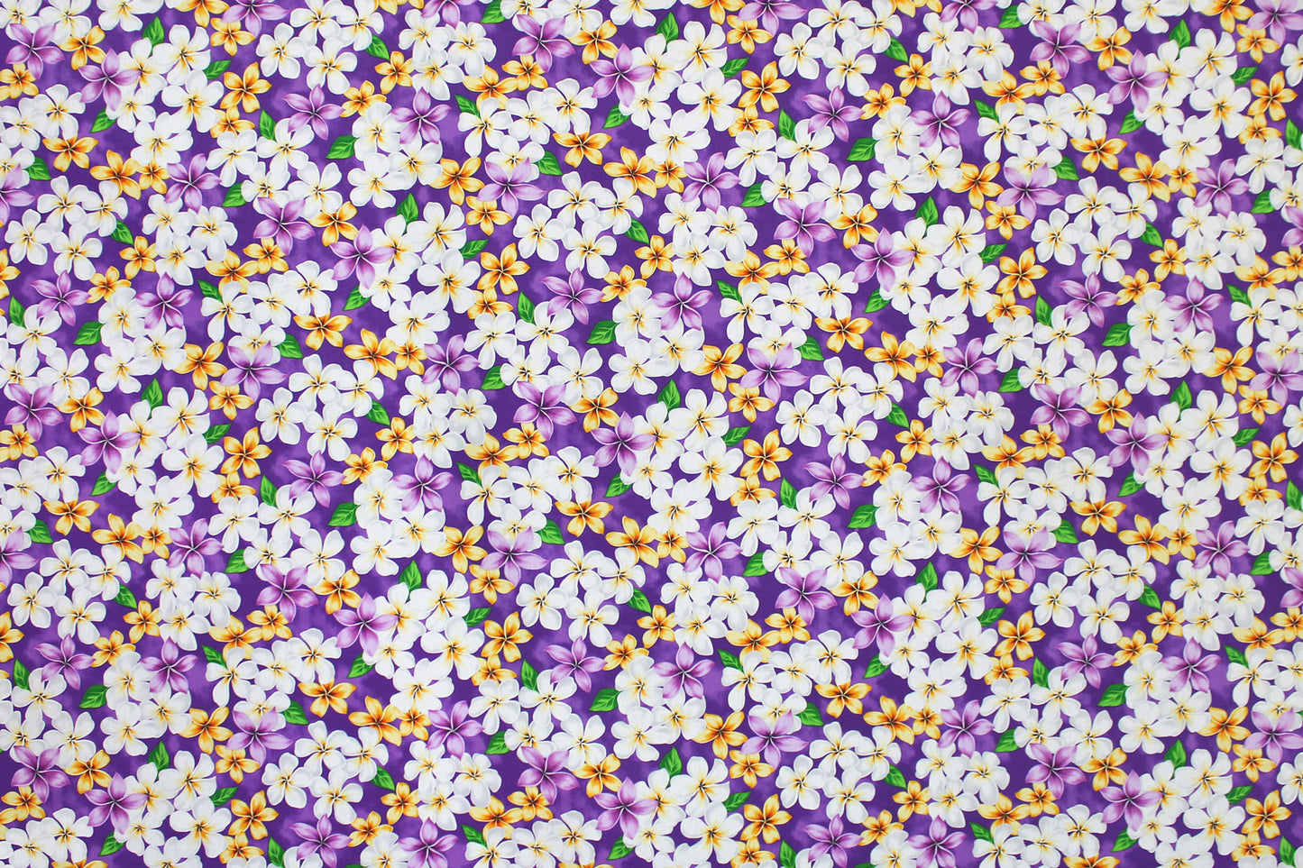CAA1144 New Purple