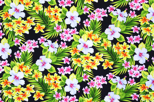 CAA1164 Black