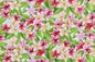 CAA1210 Cream