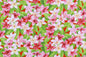 CAA1210 Red