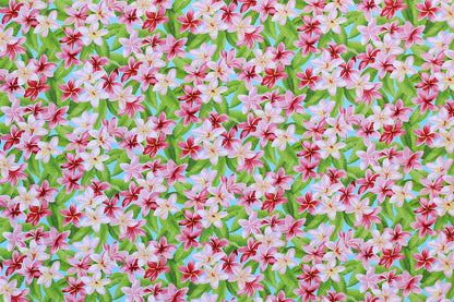 CAA1210 Turquoise