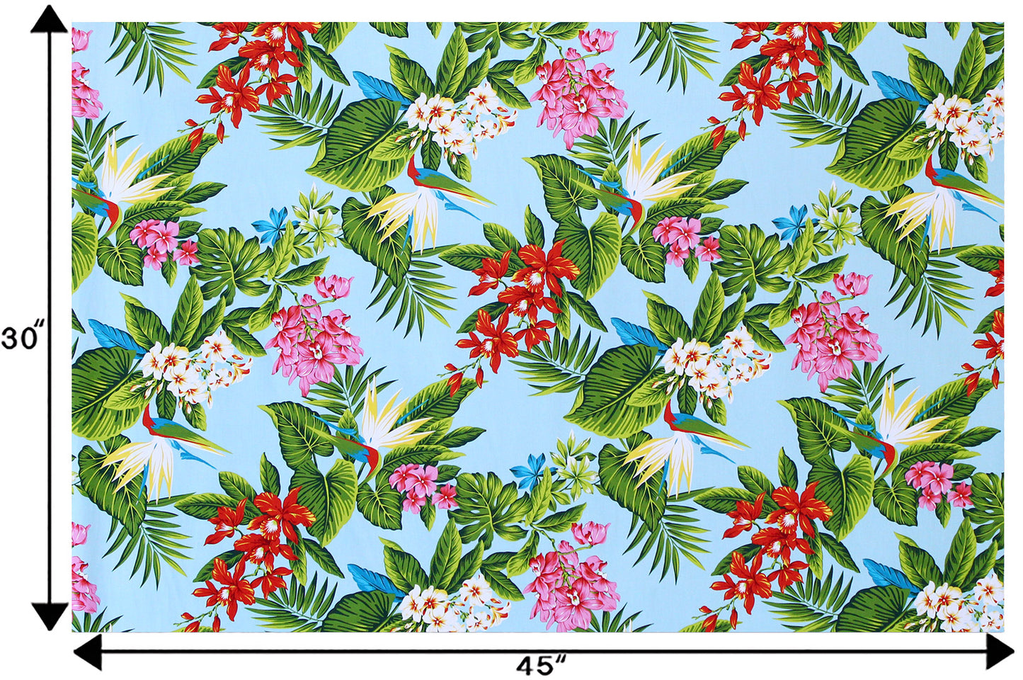 CAA1224 Aqua