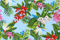 CAA1224 Aqua