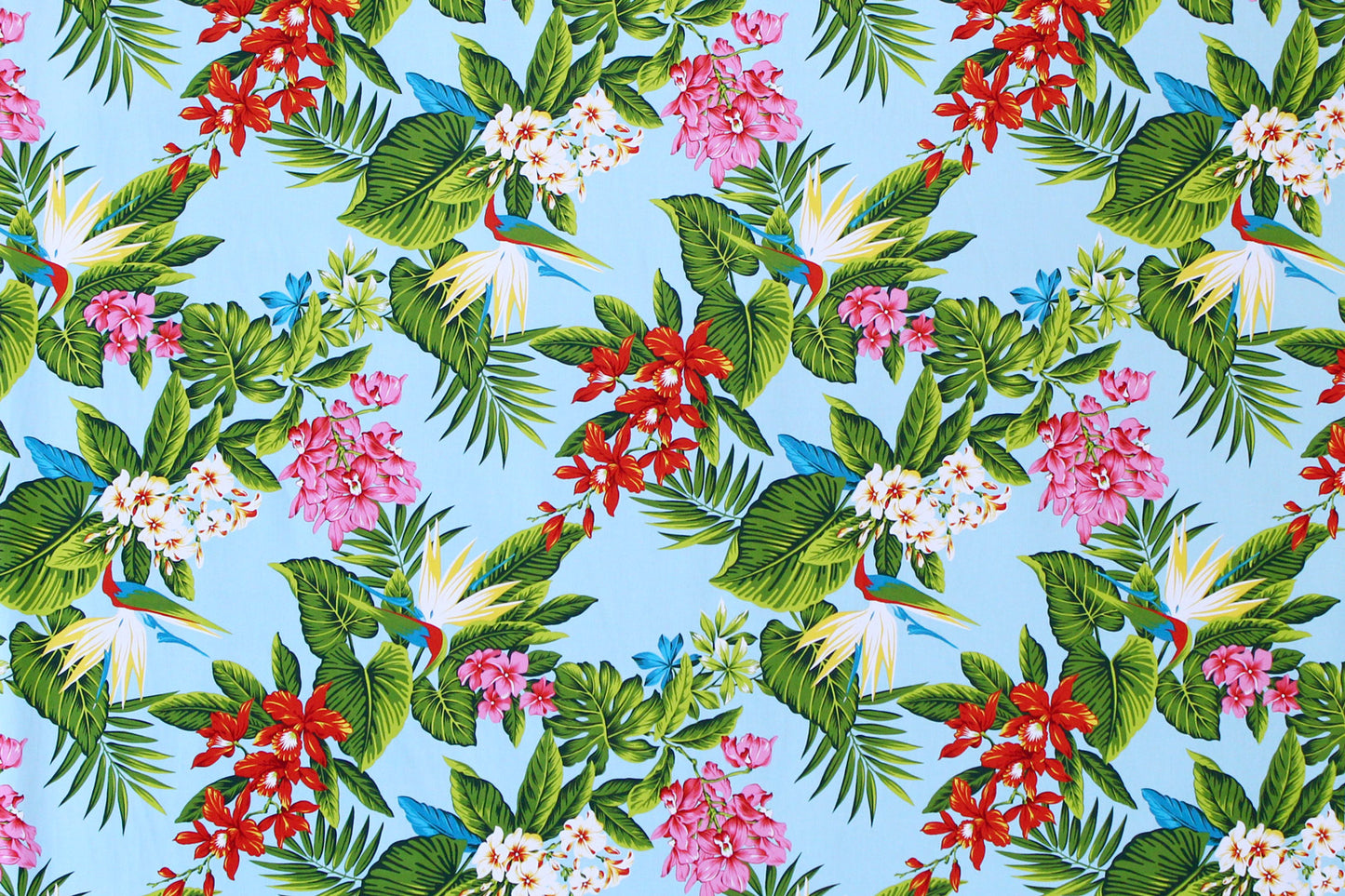 CAA1224 Aqua