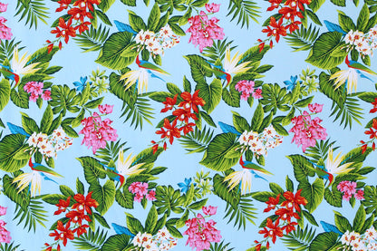 CAA1224 Aqua