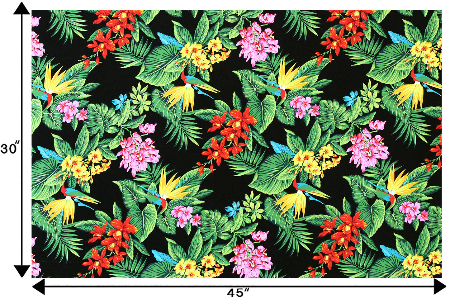 CAA1224 Black
