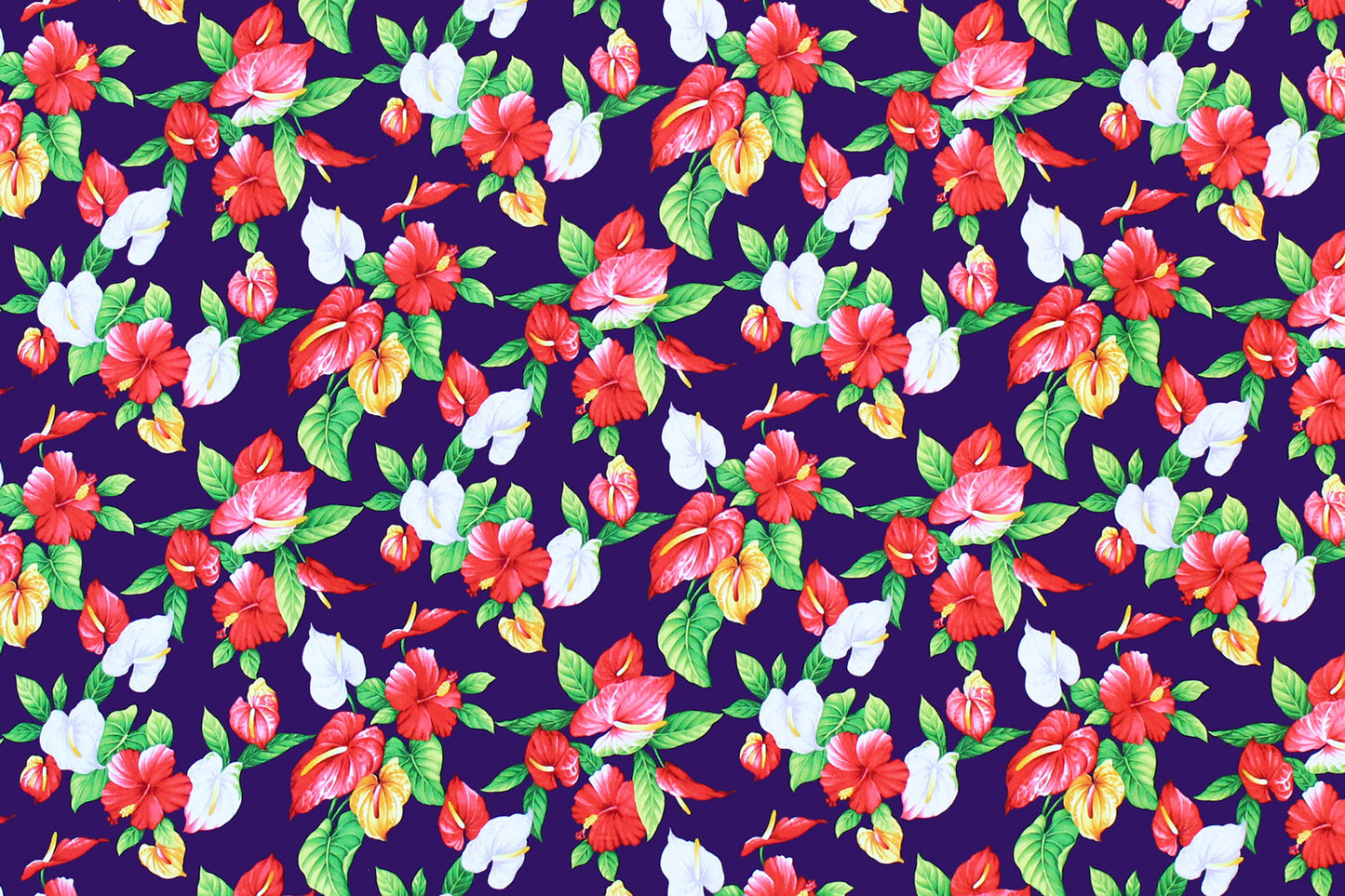 CAA1237 Purple